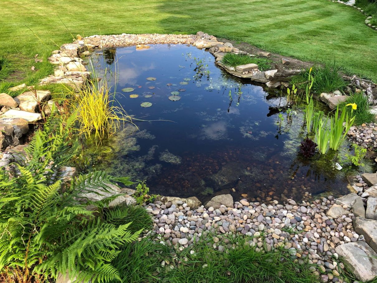 Pea Pebbles laid in and around the pond in a garden